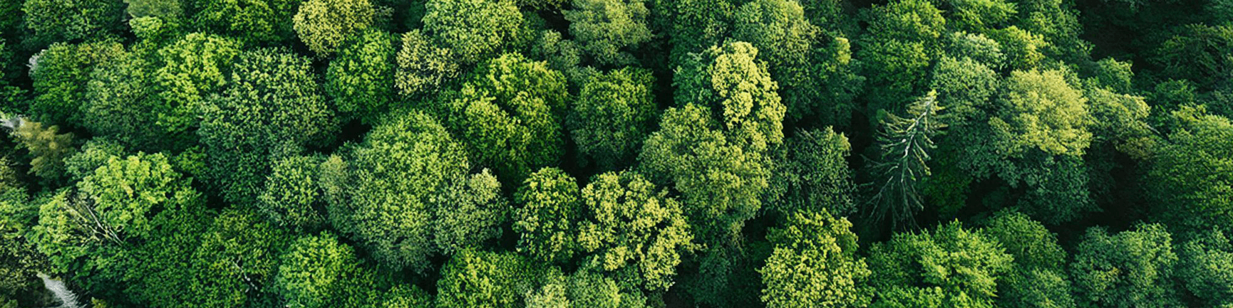 Miljø og bærekraft i Neumann - toppbanner landingsside